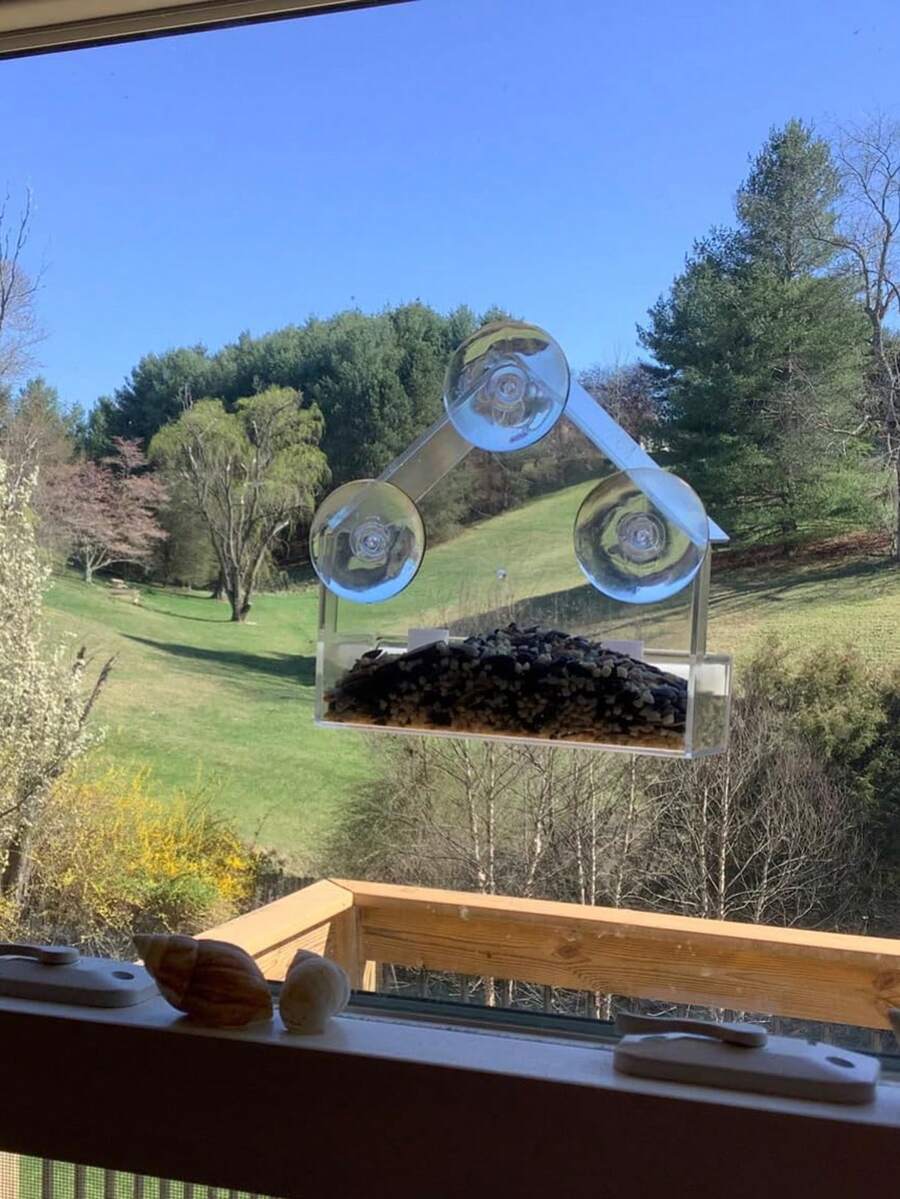 Window Bird Feeder, Outdoor Window Mount Bird House With Strong Suction
