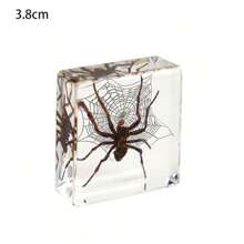 1 件大型盒装昆虫标本套装，包括真正的 8 条腿巨型蜘蛛、蝗虫、竹节虫、螳螂、甲虫、螃蟹、千足虫和巨型蝎子树脂水晶工艺品，50 多个永久保存的巨型蜈蚣有毒动物模型