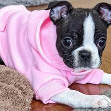 1 Áo nỉ trùm đầu cho chó có túi, Quần áo ấm cho thú cưng, Dành cho chó nhỏ như Chihuahua, Poodle, Bichon Frise, Yorkie, Mùa thu/đông - Nhiều màu - Xem 3