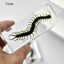 1 件大型盒装昆虫标本套装，包括真正的 8 条腿巨型蜘蛛、蝗虫、竹节虫、螳螂、甲虫、螃蟹、千足虫和巨型蝎子树脂水晶工艺品，50 多个永久保存的巨型蜈蚣有毒动物模型