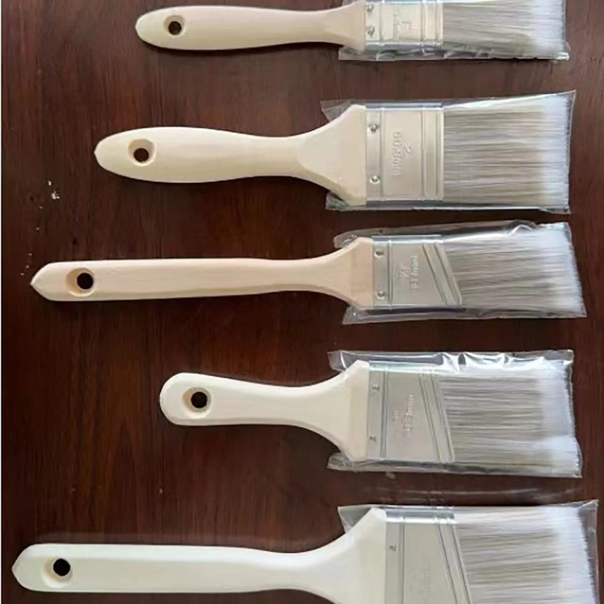 5pcs Professional Paint Brush Set Wooden Handle & Plastic Bristles