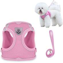 1 套粉色小狗猫背心背带和牵引带透气网眼宠物胸带，带反光条，可调节，适合小猫、小型犬和中型犬、吉娃娃、约克郡背带，户外散步、徒步旅行时使用 - 彩色 - 查看 10