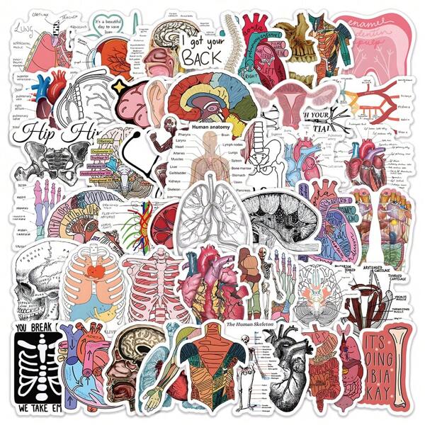 50pcs Cartoon Organ Anatomy Pattern Stickers, Human Organ Construction Medical Biology Creative For Laptop Computer Handbook Guitar Notebook Decoration DIY Stickers Organ Anatomy And Kitten Stickers,School Supplies,Back To School