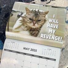Angry Cat Angry Calendar 2025- Humorous Monthly Calendar, Creative Design - Monthly Plan For Home And Office Decoration - Multicolor - View 7