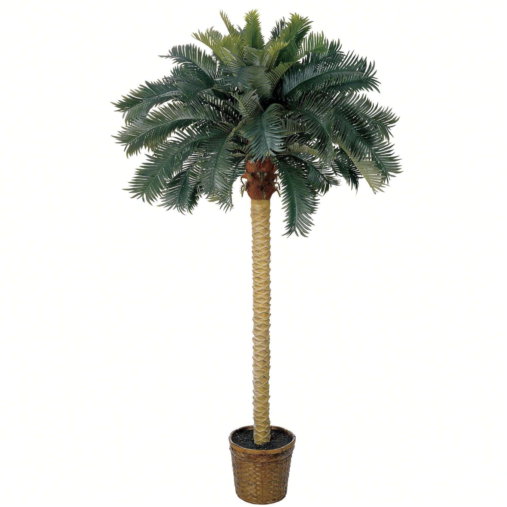 6' Sago Palm Silk Tree Vibrant Green Leaves And Natural Trunk For An