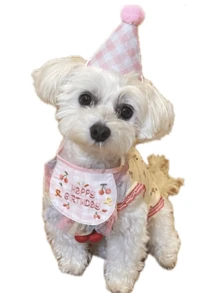 Plaid Lace Pet Birthday Party Scarf + Hat Set, Suitable For Cats & Dogs, Birthday Celebration Gift