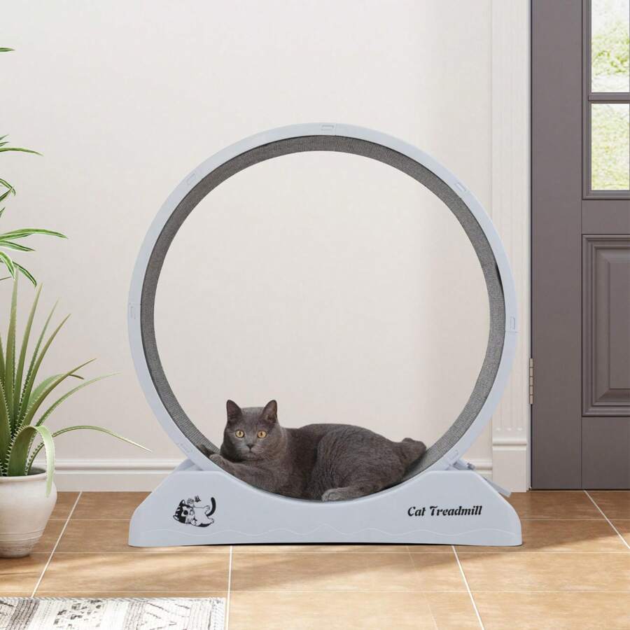 Cinta de correr grande para gatos, rueda de resistencia para animales pequeños con mecanismo de bloqueo, alfombra antideslizante, señuelo para gatos, rueda para correr en interiores