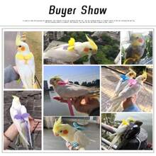 鸟牵引绳可调节鹦鹉鸟背带牵引绳套装防咬训练背带鹦鹉户外飞行绳玄凤鹦鹉小鸟用品 - 彩色 - 查看 7