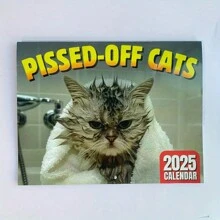 Angry Cat Angry Calendar 2025- Humorous Monthly Calendar, Creative Design - Monthly Plan For Home And Office Decoration - Multicolor - View 10