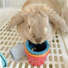 Stackable Rabbit Cups, Colorful Small Animals Rich Toys, Interactive Snacks Hidden Games, Suitable For Rabbits, Hamsters, Pets To Relieve Boredom, Bite-Resistant Material - Multicolor - View 4