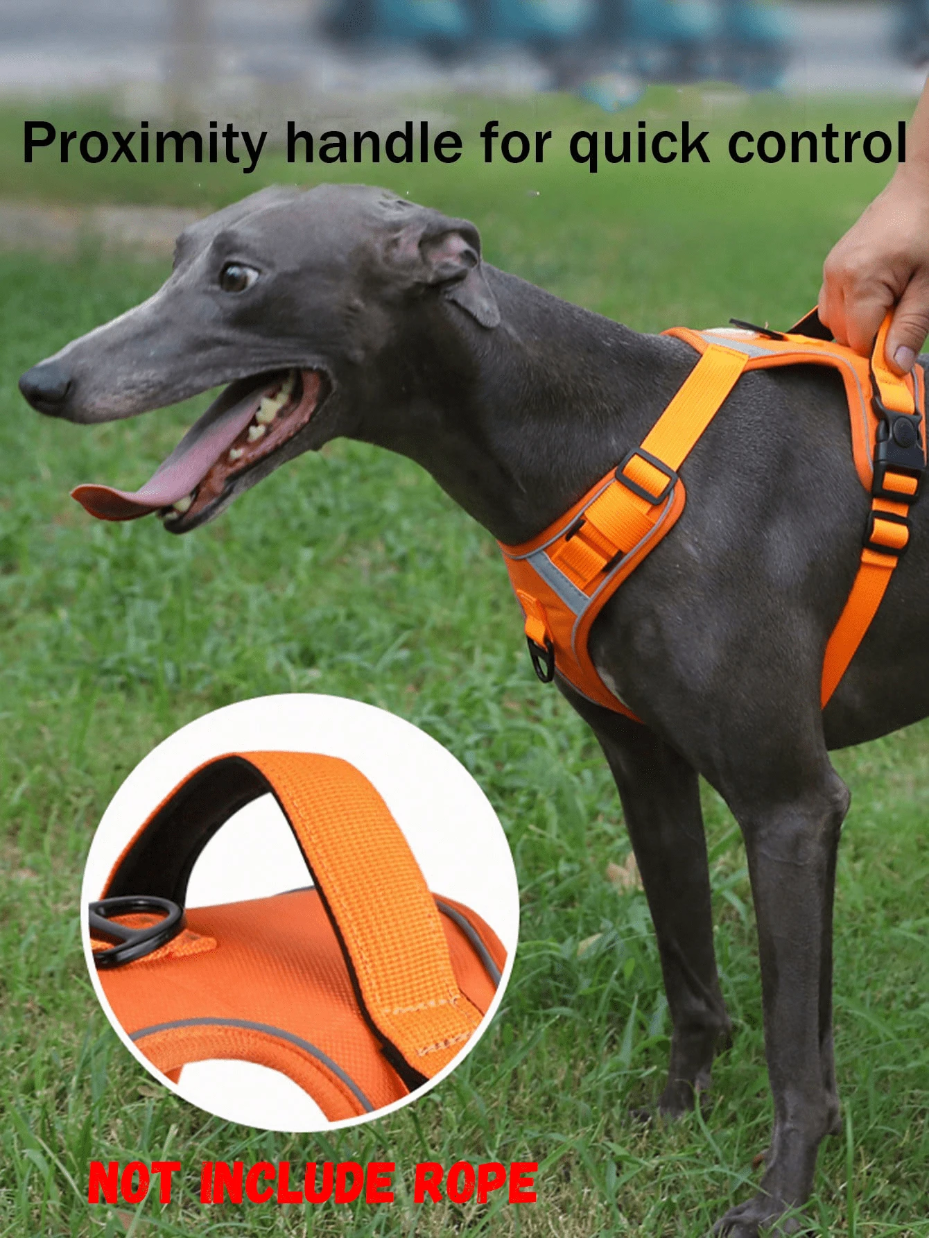 1 件新款宠物胸背带和牵引绳，多功能防爆、可伸缩、反光遛狗