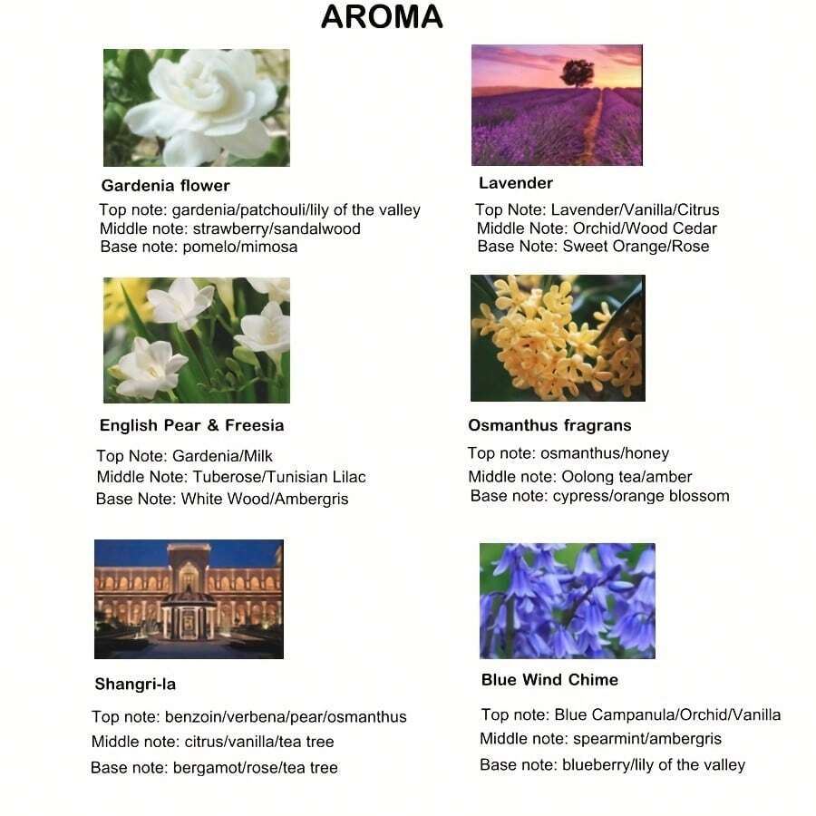 1pc, 50ml Dry Flower Fragrance Diffuser, Aroma Therapy, Toilet Odor