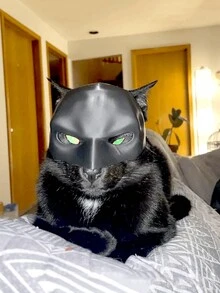 Mũ bảo hiểm dơi bằng nhựa cho mèo, có thể làm cho mèo thời trang hơn, mũ che mặt cho thú cưng, phụ kiện nửa mặt vui nhộn và phong cách cho thú cưng - Nhiều màu - Xem 2