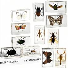 50+ Pcs Large (7.3cm) Transparent Resin Insect Stag Beetle, Spider, Scorpion, Rhinoceros Beetle, Hornet, Wasp Model, Spider Octagon Monster Creative Bookend Decor, Primitive Forest Giant Arthropod Centipede Model, Magical Nature Real Rare Various Insects, High Transparency Permanent Preserved Transparent Resin Natural Insect Creative Small Decor, Gift - Multicolor - View 2