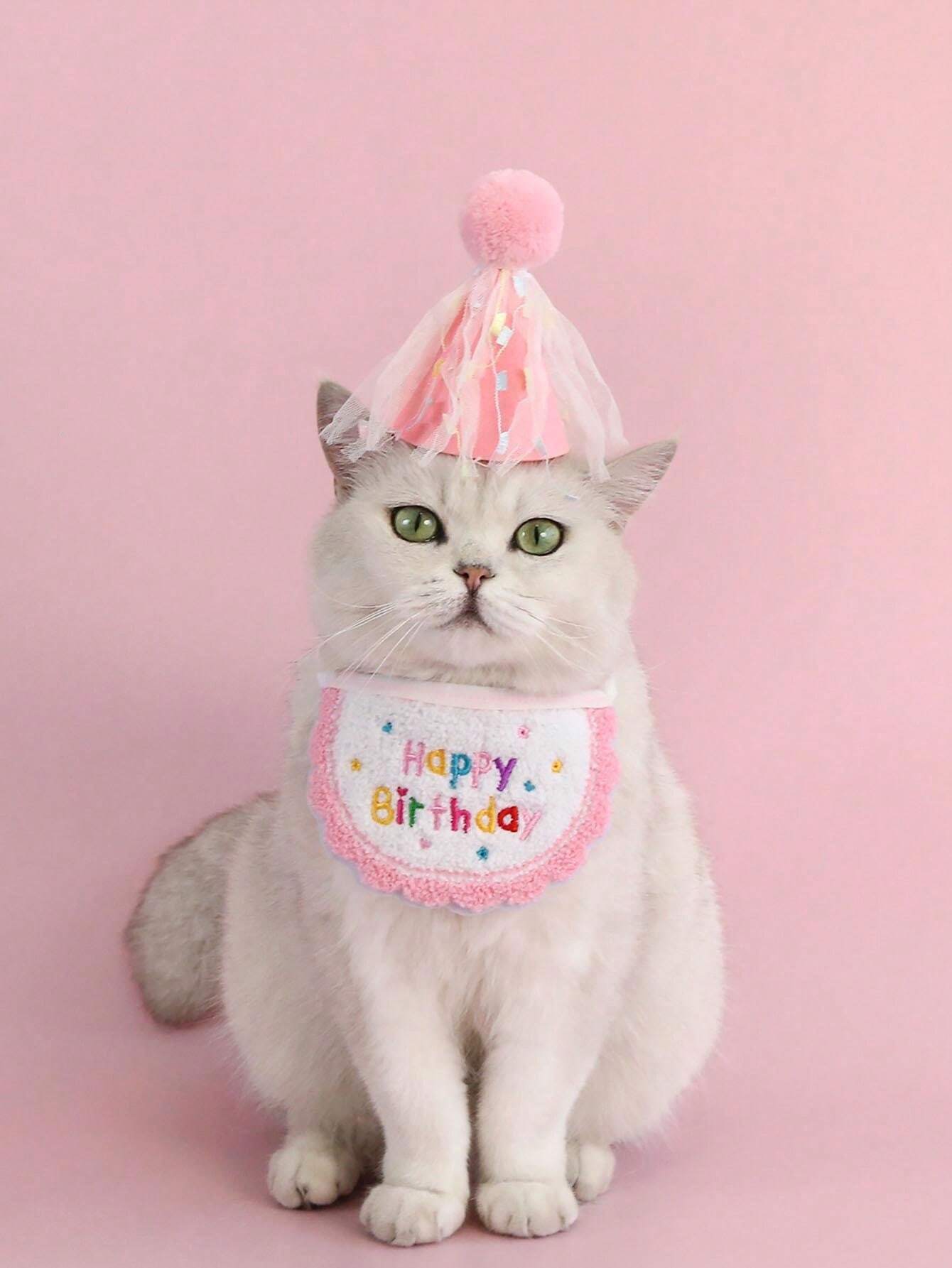 2pcs/Set Pet Cat Dog Birthday Outfit, Cartoon Cute Style, Perfect