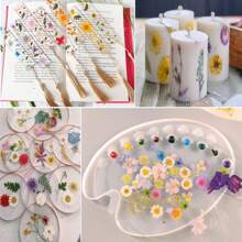 35pcs Dried Pressed Flowers For Resin Molds, Real Pressed Flowers Dry Leaves Kit For Art Crafts Resin Jewelry Making Scrapbook Supplies Card Making Soap Candle DIY Nails Decor| Valentine Day's Gift| Couple Gift| Christmas Gift Xmas Gift| Halloween Gift Decor