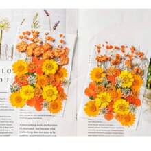 35pcs Dried Pressed Flowers For Resin Molds, Real Pressed Flowers Dry Leaves Kit For Art Crafts Resin Jewelry Making Scrapbook Supplies Card Making Soap Candle DIY Nails Decor| Valentine Day's Gift| Couple Gift| Christmas Gift Xmas Gift| Halloween Gift Decor
