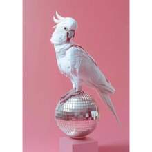 1pc Funny Cute Animal Bubble Party Disco Pink Posters Kitten Llama Koala Prints Canvas Printing Wall Art Picture For Room Home Decor No Frame