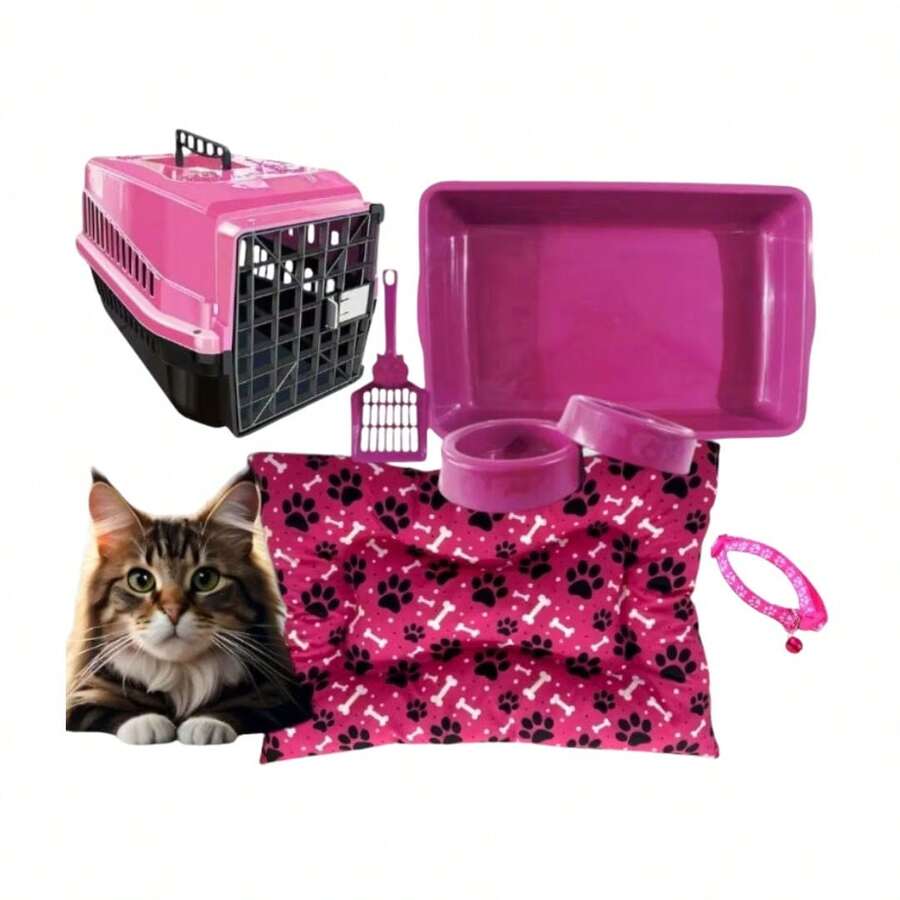 Fashion Cat Kit For Cats With Transport Box SHEIN South Africa