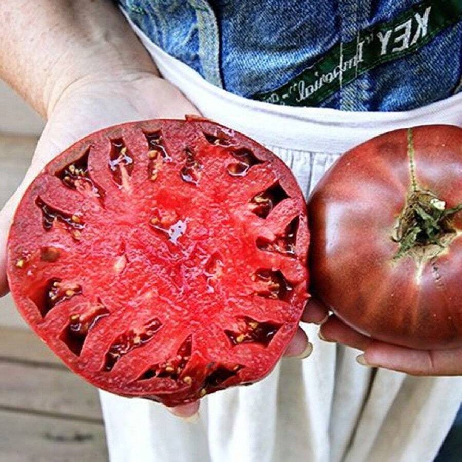 100PCS [NEW]Cherokee Tomato Seeds Cherokee Purple Tomato Seeds
