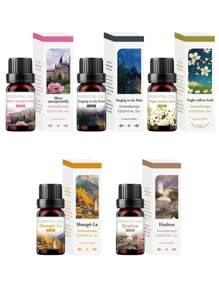 Olio essenziale idrosolubile per aromaterapia, fragranza premium unica, olio essenziale idrosolubile adatto per umidificatore e diffusore