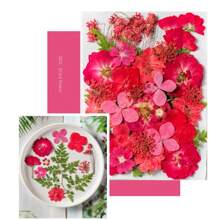 35pcs Dried Pressed Flowers For Resin Molds, Real Pressed Flowers Dry Leaves Kit For Art Crafts Resin Jewelry Making Scrapbook Supplies Card Making Soap Candle DIY Nails Decor| Valentine Day's Gift| Couple Gift| Christmas Gift Xmas Gift| Halloween Gift Decor
