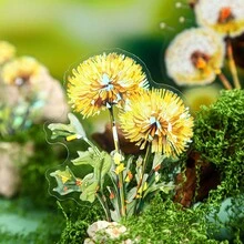 have a good day 10 miếng/gói nhãn dán chủ đề bồ công anh, nhãn dán thẩm mỹ sáng tạo, vật liệu trang trí và thủ công sổ lưu niệm tự làm, quà tặng ngày lễ, đồ dùng học tập sổ lưu niệm cá nhân hóa - Nhiều màu - Xem 5