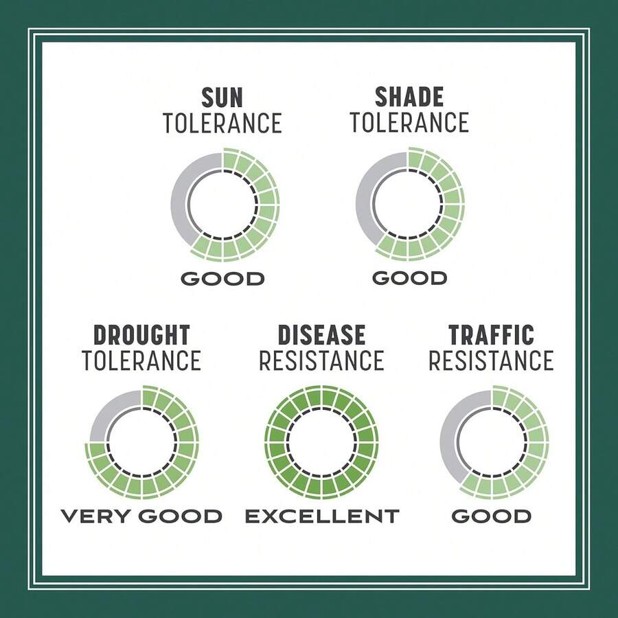 Semillas De Pasto Mixtas Grass Seeds 3.17 Kg Smart Seed Sun and Shade