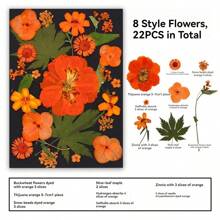 35pcs Dried Pressed Flowers For Resin Molds, Real Pressed Flowers Dry Leaves Kit For Art Crafts Resin Jewelry Making Scrapbook Supplies Card Making Soap Candle DIY Nails Decor| Valentine Day's Gift| Couple Gift| Christmas Gift Xmas Gift| Halloween Gift Decor
