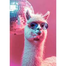 1pc Funny Cute Animal Bubble Party Disco Pink Posters Kitten Llama Koala Prints Canvas Printing Wall Art Picture For Room Home Decor No Frame