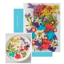 35pcs Dried Pressed Flowers For Resin Molds, Real Pressed Flowers Dry Leaves Kit For Art Crafts Resin Jewelry Making Scrapbook Supplies Card Making Soap Candle DIY Nails Decor| Valentine Day's Gift| Couple Gift| Christmas Gift Xmas Gift| Halloween Gift Decor