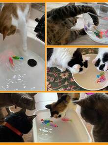 猫咪互动电动鱼玩具游泳机器人带 LED 灯宠物玩具宠物猎人本能宠物玩具猫狗宠物用品 - 彩色 - 查看 10