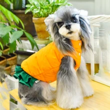 Quần áo thú cưng có đệm cho chó Teddy/Yorkie, trang phục đi dạo ấm áp kiểu mới có dây xích - Hồng - Xem 3