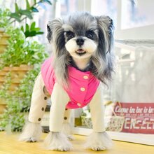 Quần áo thú cưng có đệm cho chó Teddy/Yorkie, trang phục đi dạo ấm áp kiểu mới có dây xích - Hồng - Xem 1