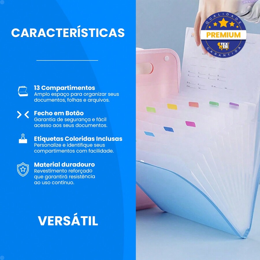 Pasta Para Documentos A4 Com Divisórias Sanfonada Organizadora Porta