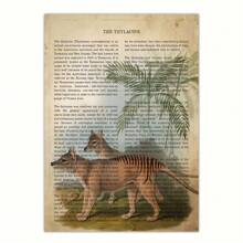 1pc Canvas Poster, 19e-eeuwse Vintage Canvas Muurschildering, Dieren Afbeelding Kunst Canvas Decoratie Met Soort-Specifieke Beschrijvingen Geschreven Op De Achtergrond Muurkunst, Ideaal Cadeau Voor Slaapkamer Woonkamer Keuken Slaapzaal Gang, Muurkunst, Muurdecoratie, Kamerdecoratie, Ongeraamd
