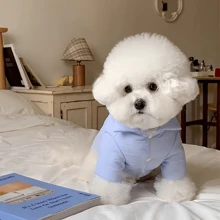 适合小型和中型犬的纯色隔热加厚外套，配有连帽牵引绳，适合秋冬季 - 藍色 - 查看 9