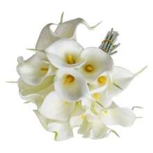 10 STEM CALLUS SILICONE PERMANENT FLOWER - trắng - Xem 4