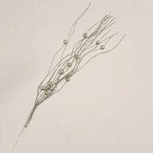 5 件/10 件圣诞节人造花饰品龙须泡泡金银人造闪光茎装饰珠棒闪光棒 - 彩色 - 查看 14