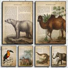 1pc Canvas Poster, 19e-eeuwse Vintage Canvas Muurschildering, Dieren Afbeelding Kunst Canvas Decoratie Met Soort-Specifieke Beschrijvingen Geschreven Op De Achtergrond Muurkunst, Ideaal Cadeau Voor Slaapkamer Woonkamer Keuken Slaapzaal Gang, Muurkunst, Muurdecoratie, Kamerdecoratie, Ongeraamd