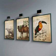 1pc Canvas Poster, 19e-eeuwse Vintage Canvas Muurschildering, Dieren Afbeelding Kunst Canvas Decoratie Met Soort-Specifieke Beschrijvingen Geschreven Op De Achtergrond Muurkunst, Ideaal Cadeau Voor Slaapkamer Woonkamer Keuken Slaapzaal Gang, Muurkunst, Muurdecoratie, Kamerdecoratie, Ongeraamd
