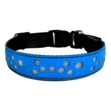 USB C 可充电发光狗项圈，多色变色 - 藍色 - 查看 3