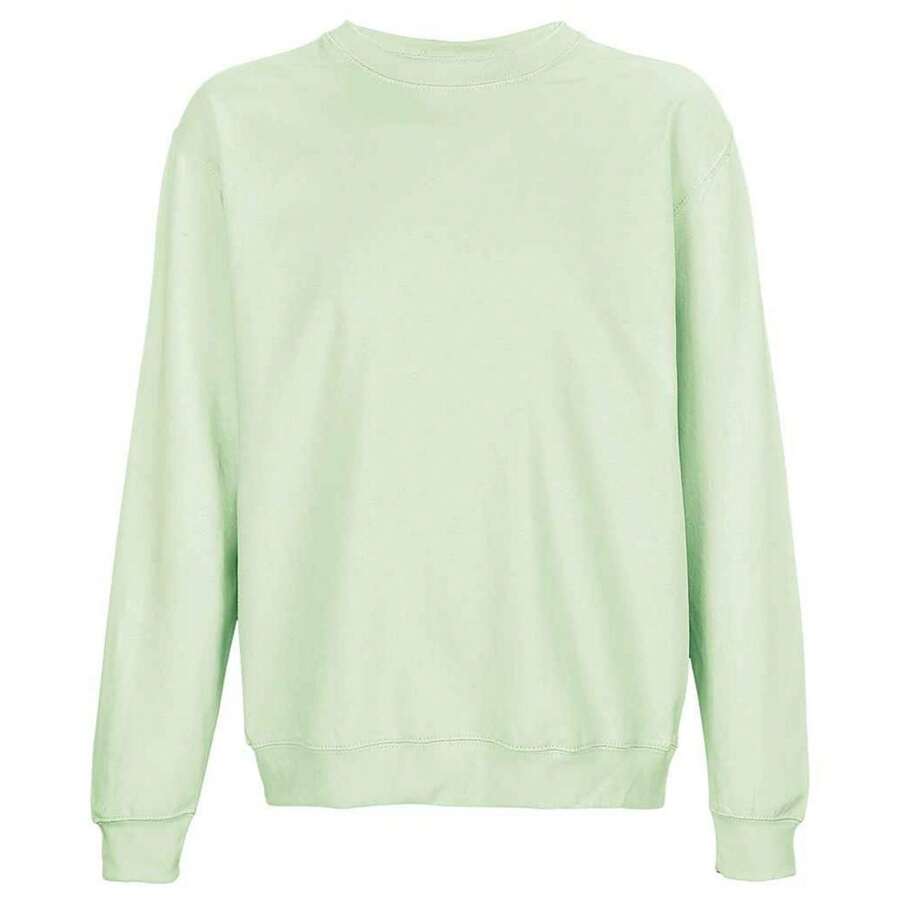SOLS Unisex Adult Columbia Sweatshirt (Creamy Green) - Green - View 1