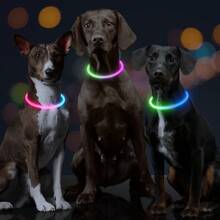 USB充电式发光狗项圈，双色LED狗项圈，可调节尺寸LED猫项圈，安全警示