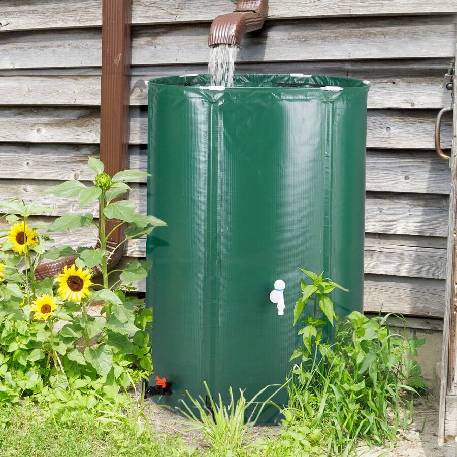 Rain Barrels To Collect Rainwater From Gutter - Rain Collection Barrel ...