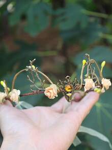 1 vương miện vương miện Woodland dành cho nữ, băng đô quấn bằng gạc cây nho thủ công - Màu vàng - Xem 3