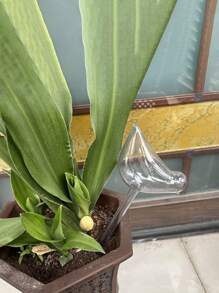 1pc Transparent Pvc Plastic Bird Shaped Watering Device For Plants, Automatic Slouchy Plant Waterer - Clear - View 8
