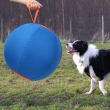 Pet Inflatable Big Ball Toys, A Full Set Of Dog Balls, Golden Hair, Bite Resistant Balls, Boredom Relieving Balls, Corgi Self Hi Pet Training Balls, Dog Toys For Dogs, Cattle Dog Horse Balls, Australian Shepherd Dog Horse Balls (S -17.7 Inches)
