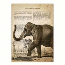 1pc Canvas Poster, 19e-eeuwse Vintage Canvas Muurschildering, Dieren Afbeelding Kunst Canvas Decoratie Met Soort-Specifieke Beschrijvingen Geschreven Op De Achtergrond Muurkunst, Ideaal Cadeau Voor Slaapkamer Woonkamer Keuken Slaapzaal Gang, Muurkunst, Muurdecoratie, Kamerdecoratie, Ongeraamd