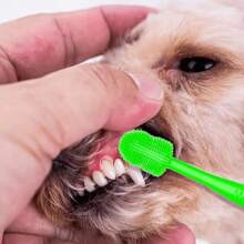 3pcs Cat, Dog, Pet Toothbrush, Anti Tartar Cosmetic Brush, Soft Bristle Size Dog Specific 360 Degree Soft Silicone (Purple/Green/Blue)